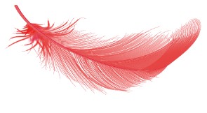 plume rouge